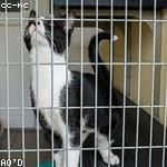 Heather Goldner Profile Picture