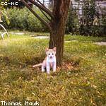 Nasir Johns Profile Picture