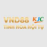 VND88 Profile Picture