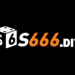 S666 diy Profile Picture
