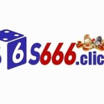 S666 Profile Picture