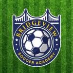 Bridgeview Soccer Profile Picture