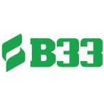 B33 Profile Picture