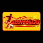 Kèo nhà cái Profile Picture